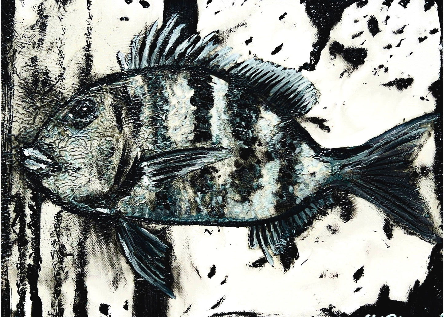 “Sheepshead” Fish Print