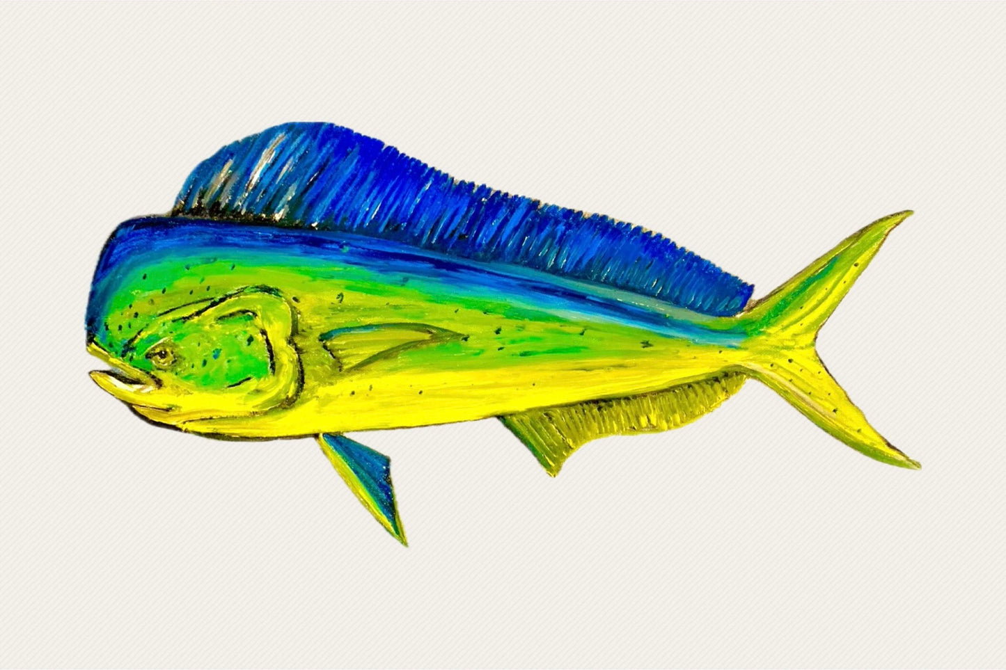 "Mahi Mahi" Fish Print
