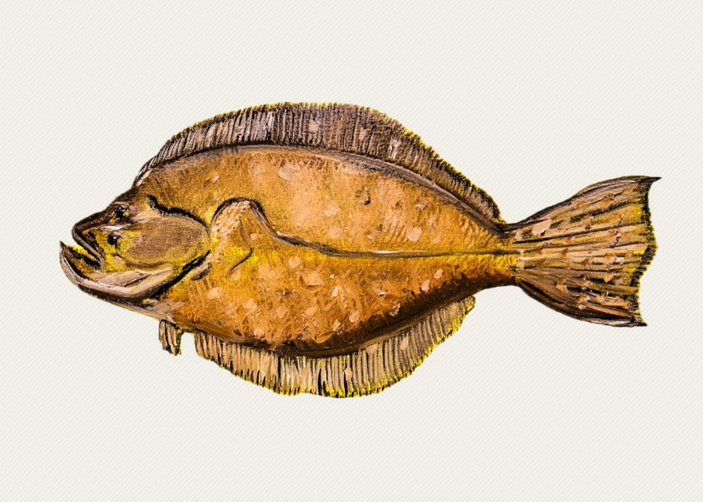 "Cotton Bayou Flounder" Fish Print
