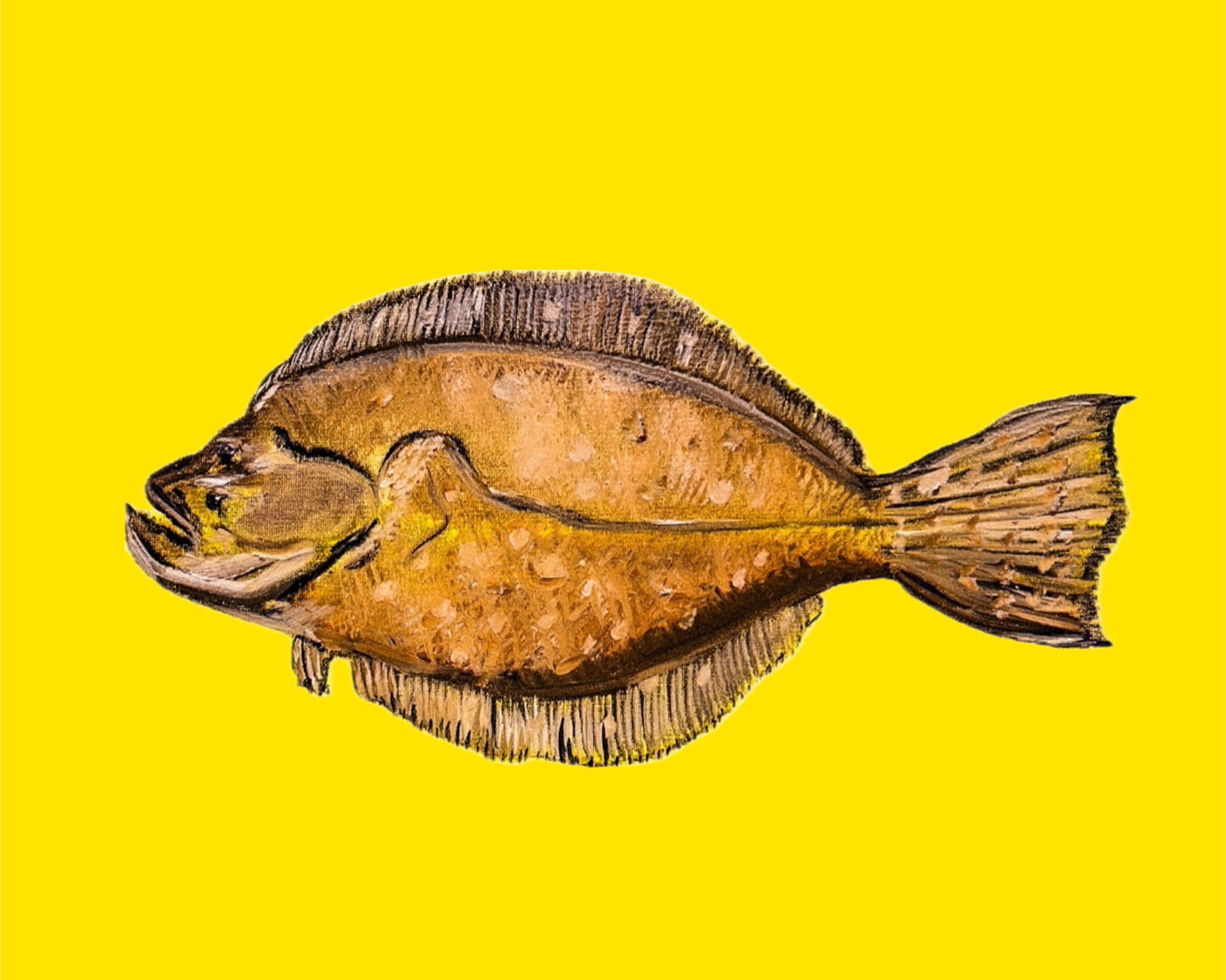 “Cotton Bayou Flounder” Fish Print 8x10