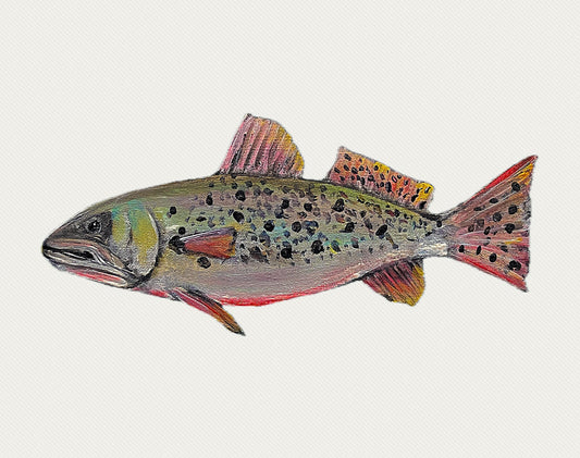 "Speckled Trout" Fish Print